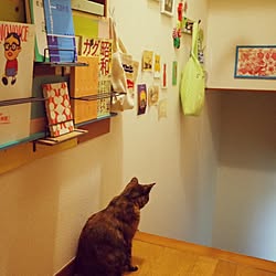 壁/天井/よろしく哀愁♪/ちゃんとやれ会/猫と暮らす。/ごちゃごちゃ...などのインテリア実例 - 2015-05-25 23:58:18