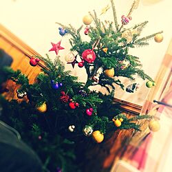 リビング/クリスマス/ディズニー/IKEA/クリスマスツリーのインテリア実例 - 2013-11-25 15:27:05