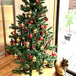 猫/クリスマスツリー/クリスマス/クリスマスの色/シンプル...などのインテリア実例 - 2022-11-22 12:30:44