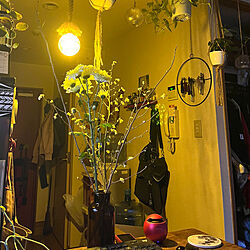 机/植物のある部屋/植物のある生活/植物のある暮らし/暗い部屋...などのインテリア実例 - 2024-03-25 19:11:05