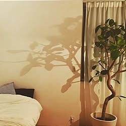 ベッド周り/観葉植物/IKEA/照明/一人暮らし...などのインテリア実例 - 2016-10-26 00:54:23