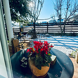ガーデンテーブル/シクラメン/雪景色/リビングからの眺め/部屋全体のインテリア実例 - 2022-01-07 08:51:46