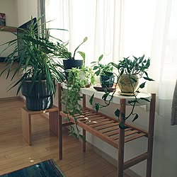 リビング/定点観測/日替わり投稿企画!日曜日/植物に囲まれ隊/IKEA...などのインテリア実例 - 2017-05-28 15:12:20