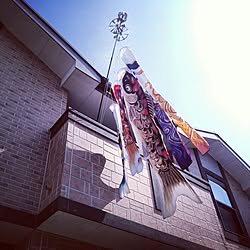 壁/天井/RC九州支部に入部希望！/鯉のぼり/賃貸アパート/まずは片付け...などのインテリア実例 - 2015-04-29 23:37:21