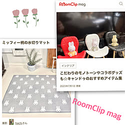 RoomClip mag 掲載/ミッフィー/水切りマット/キャンドゥ☆/チワワのいる暮らし...などのインテリア実例 - 2023-07-01 16:10:50