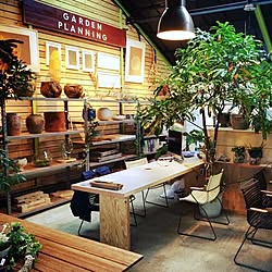 植物園/大阪 茨木市/the Farm/NO GREEN NO LIFE/GREEN MAKE ME HAPPYのインテリア実例 - 2015-04-06 00:30:36