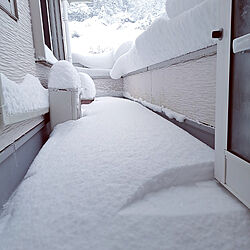 玄関/入り口/雪/ベランダのインテリア実例 - 2022-12-23 16:34:54