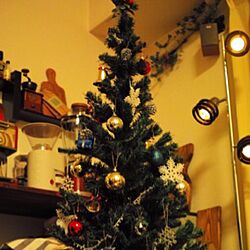 リビング/クリスマス/クリスマスツリーのインテリア実例 - 2014-11-14 01:18:37