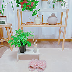 観葉植物のある暮らし/サッツマス/IKEA/おひとりランチ/THREEPPY...などのインテリア実例 - 2023-04-16 18:50:51