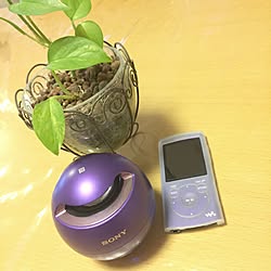 部屋全体/2017.03.05/SONY/Bluetoothスピーカー/訪問、コメントが遅くてごめんなさい...などのインテリア実例 - 2017-03-05 17:13:55