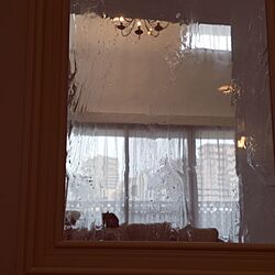 玄関/入り口/ねこのいる風景/アンティーク風/泡ガラス/無垢のドア...などのインテリア実例 - 2016-02-19 15:33:57