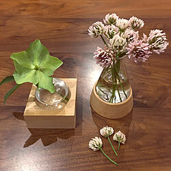 机/お花のプレゼントのインテリア実例 - 2018-04-19 21:37:53