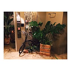 玄関/入り口/観葉植物/DIY/ハンドメイド/照明のインテリア実例 - 2016-03-05 21:03:39