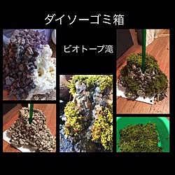 玄関/入り口/野草/睡蓮鉢めだか/滝/ダイソーリメイク...などのインテリア実例 - 2016-11-12 20:49:36