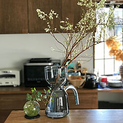 枝ものディスプレイ/観葉植物/緑のある暮らし/キッチンのインテリア実例 - 2020-02-09 09:50:46