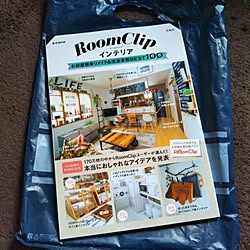 リビング/RoomClipインテリア/やっと手に入れた/ラスワンのインテリア実例 - 2017-01-27 16:12:52