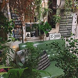 ☘植物と雑貨で楽しむインテリア☘/GREEN LIFE/☘Green Life☘/植物のある暮らし/インドアグリーン...などのインテリア実例 - 2016-11-17 06:04:14