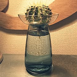 ベッド周り/水耕サボテン/水耕栽培/ベッド周りではありません/観葉植物...などのインテリア実例 - 2017-05-04 18:11:28