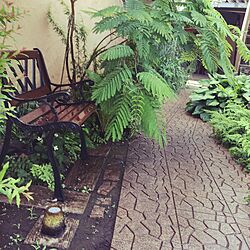 玄関/入り口/観葉植物/ナチュラル/ガーデンのインテリア実例 - 2017-06-04 12:24:16