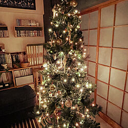 リビング/クリスマスツリー/クリスマス/障子のインテリア実例 - 2023-12-14 20:15:12