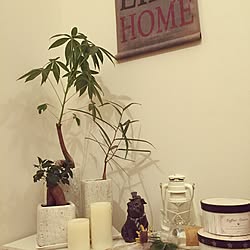 棚/DIY/観葉植物/ナチュラルのインテリア実例 - 2016-05-30 22:57:01