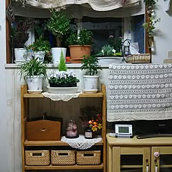 部屋全体/いつもいいね！ありがとうございます♪/ハンドメイド❤/飲み仲間♥/観葉植物　...などのインテリア実例 - 2016-10-17 21:48:34