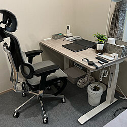 COFO Chair Premium/FlexiSpot電動式昇降デスク/ワークチェア/机/観葉植物のインテリア実例 - 2022-06-11 18:09:08