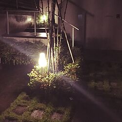 玄関/入り口/照明のインテリア実例 - 2016-10-03 18:30:45