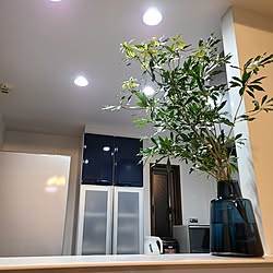 キッチン/好きな風景/植物/葉物を生ける/ホルムガードのインテリア実例 - 2023-03-11 20:59:46