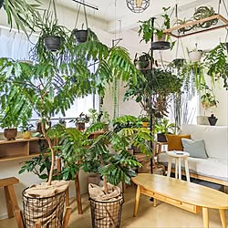 エバーフレッシュ/観葉植物のある暮らし/植物のある暮らし/北欧ナチュラルインテリア/北欧インテリア...などのインテリア実例 - 2023-09-29 04:27:36