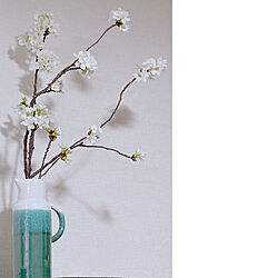 桜の花/さくら/植物のある暮らし/ACTUS フラワーベース/キッチンのインテリア実例 - 2022-04-03 12:02:08