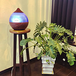 うるおい/加湿器スタンド/アロマ加湿器/無印良品/観葉植物鉢カバー...などのインテリア実例 - 2021-01-12 01:15:57