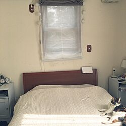 ベッド周り/自分で塗った壁/珪藻土の塗り壁/自分で塗った扉/IKEAのインテリア実例 - 2017-02-20 16:02:49