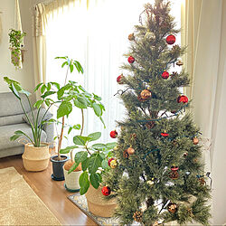 クリスマス/クリスマスツリー180cm/クリスマスツリー/マクラメ編み/マクラメ...などのインテリア実例 - 2022-12-06 09:36:20