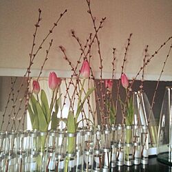 玄関/入り口/ツェツェ ４月の花器のインテリア実例 - 2014-04-14 20:59:57