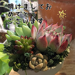 部屋全体/RCの出会いに感謝♡/いつもいいねやコメントありがとう♡♪/築30年/たにくちゃん♡...などのインテリア実例 - 2019-01-01 16:42:10