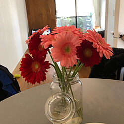 花のある暮らし/花を飾る/ダイニングテーブル/光の差すほうへ/キッチンのインテリア実例 - 2020-03-21 14:40:33