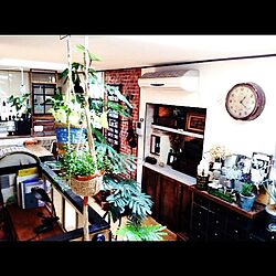 部屋全体/壁紙屋本舗/DIY/ペイント/観葉植物...などのインテリア実例 - 2015-05-21 18:12:33