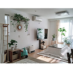 部屋全体/アイアン素材/コメントお気遣いなく♡/植物のある暮らし/こたつ...などのインテリア実例 - 2021-11-17 20:03:24