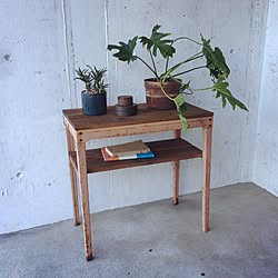 棚/植物/サビ/わたし空間/雑貨...などのインテリア実例 - 2015-11-01 16:56:52