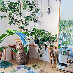 観葉植物インテリア/くつろぎ時間/無印良品/わたしの暮らしアワード/北欧インテリア...などのインテリア実例 - 2022-11-29 06:27:41