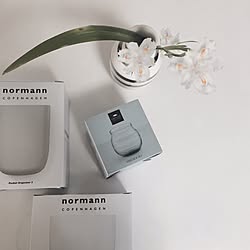 部屋全体/Normann Copenhagen/ノーマンコペンハーゲン/ティーライトホルダー/フラワーベース...などのインテリア実例 - 2017-04-27 16:49:33