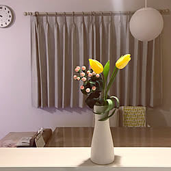 花瓶/チューリップは猫に危険/チューリップ/部屋全体のインテリア実例 - 2020-02-08 09:36:27