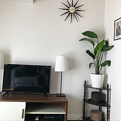 リビング/新居での暮らし♡/IKEA/観葉植物のインテリア実例 - 2018-03-18 14:43:44