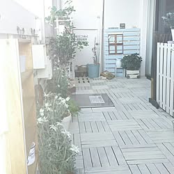 DIY棚/セリア/natural kitchen &/DIY/キャンドゥ...などのインテリア実例 - 2017-06-14 08:15:51