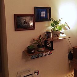壁/天井/DIY/ハンドメイド/アンティーク/植物...などのインテリア実例 - 2014-11-15 18:03:45