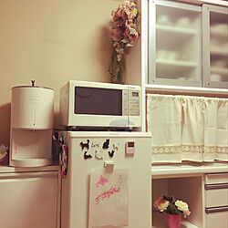 一人暮らし　冷蔵庫/介護してても素敵な家にしたい/キッチンのインテリア実例 - 2021-08-20 15:41:43