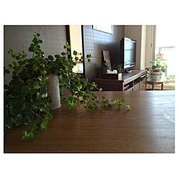 リビング/壁紙屋本舗/DIY/IKEA/観葉植物のインテリア実例 - 2016-11-09 15:52:12
