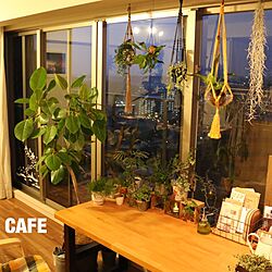 リビング/カフェ風インテリアへの憧れ/観葉植物のある部屋/miccoちゃんプラハンのインテリア実例 - 2015-02-25 06:29:02