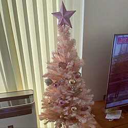 ピンク/クリスマスツリー/クリスマス/リビングのインテリア実例 - 2022-12-07 18:10:51
